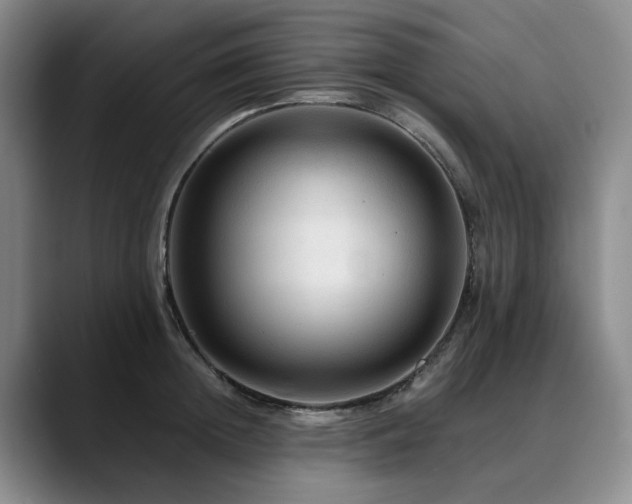 X0000090600852200707171331
