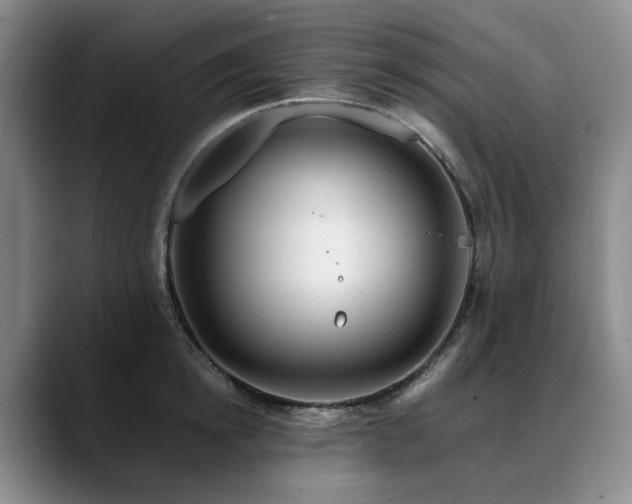 X0000090600854200707171331