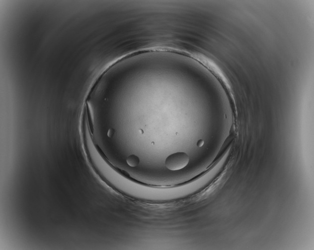 X0000090600855200707171331