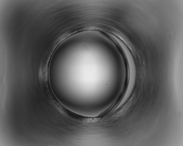 X0000090600858200707171331