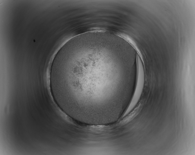X0000090600859200707171331