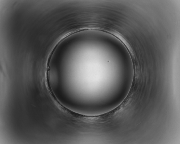 X0000090600861200707171331