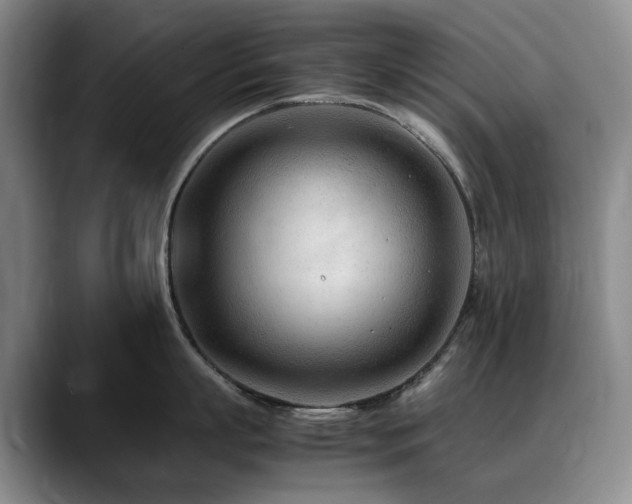 X0000090600863200707171331