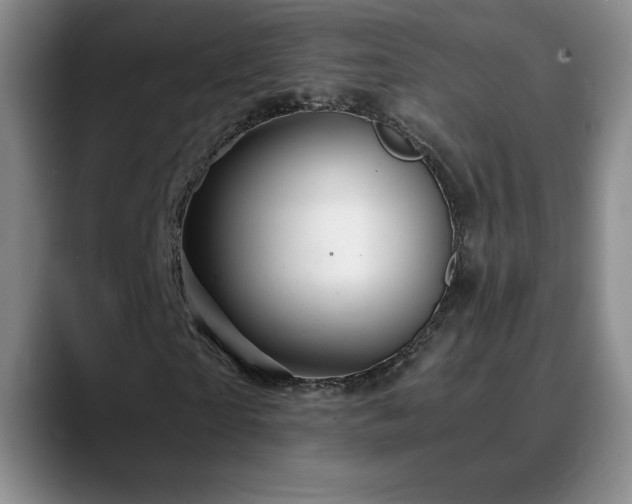 X0000090600865200707171331