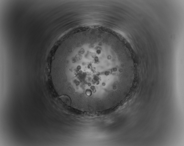 X0000090600871200707171331