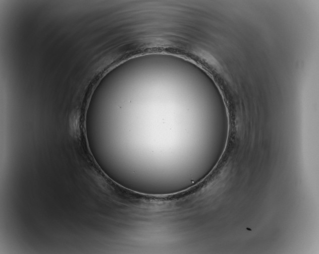 X0000090600873200707171331