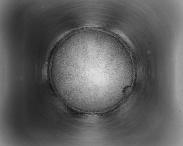 X0000090600878200707171331