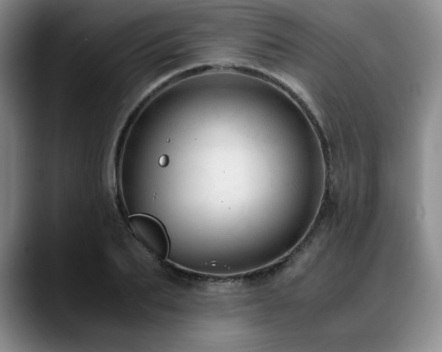 X0000090600887200707171330