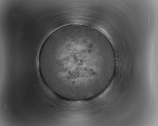 X0000090600891200707171330