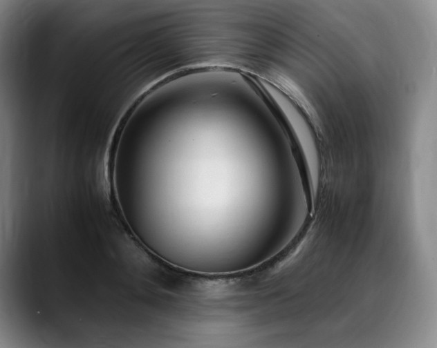 X0000090600892200707171330