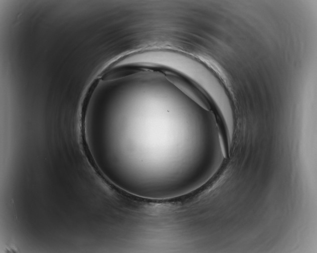 X0000090600894200707171330
