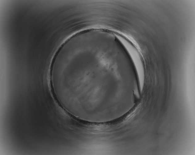 X0000090600895200707171330