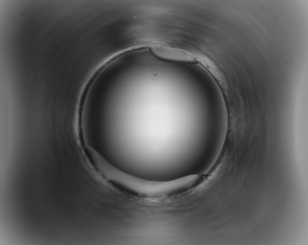 X0000090600904200707171330