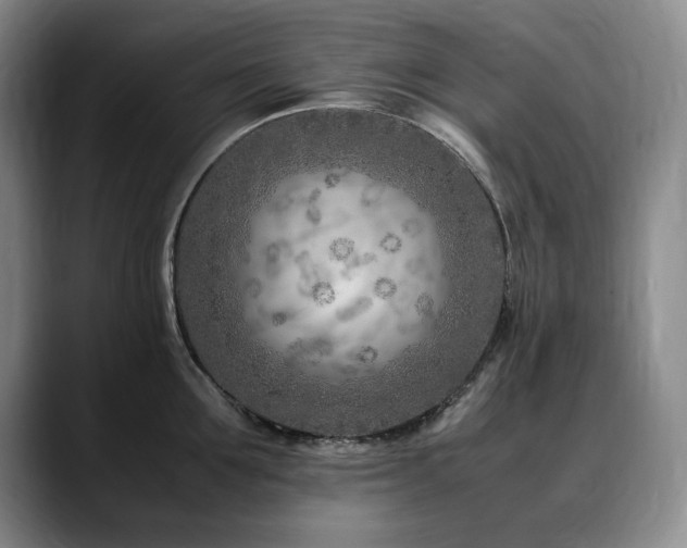 X0000090600907200707171330
