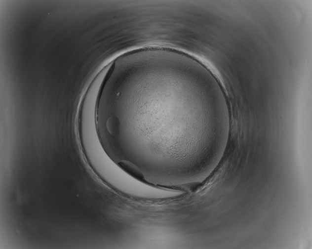 X0000090600911200707171330