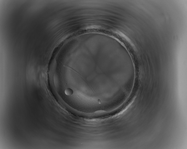 X0000090600921200707171330