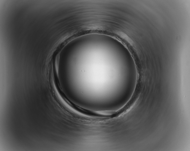 X0000090600922200707171330