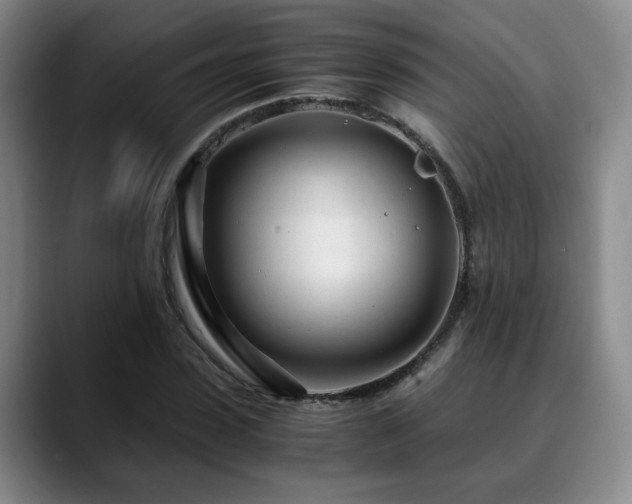 X0000090600923200707171330