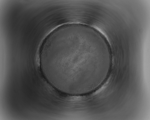 X0000090600925200707171330