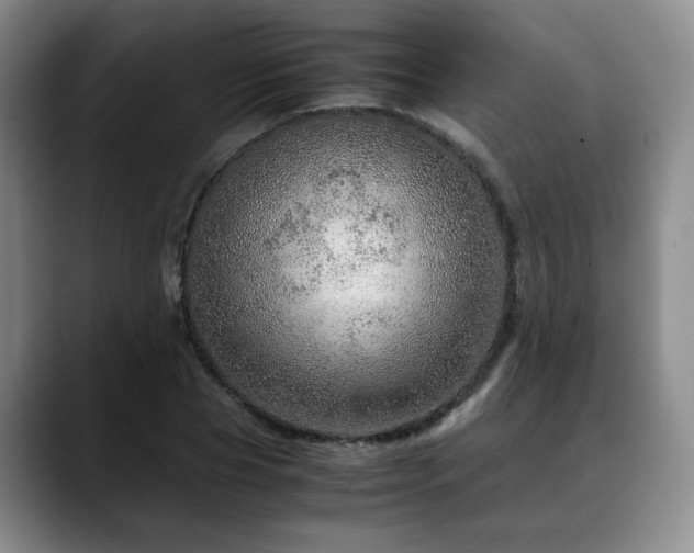 X0000090600929200707171330