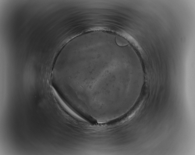 X0000090600937200707171330