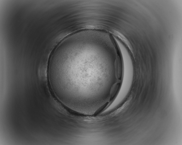 X0000090600938200707171330