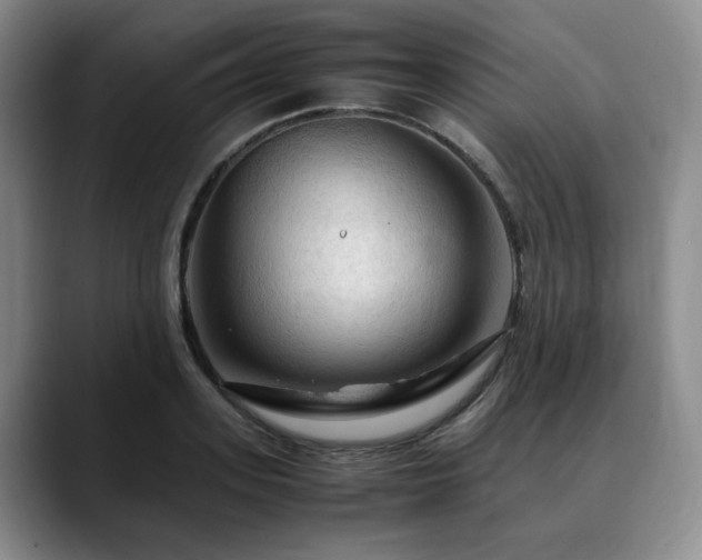 X0000090600939200707171330