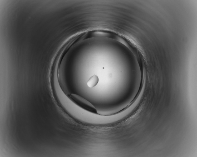 X0000090600942200707171330