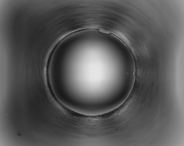 X0000090600947200707171330