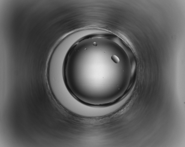 X0000090600948200707171330