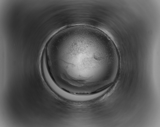 X0000090600949200707171330