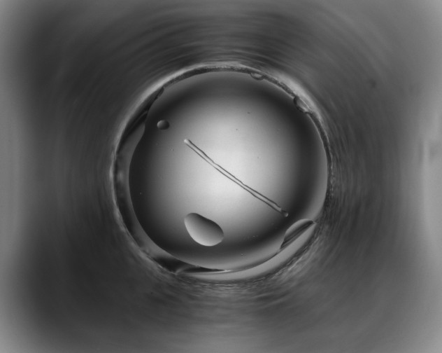 X0000090600951200707171330