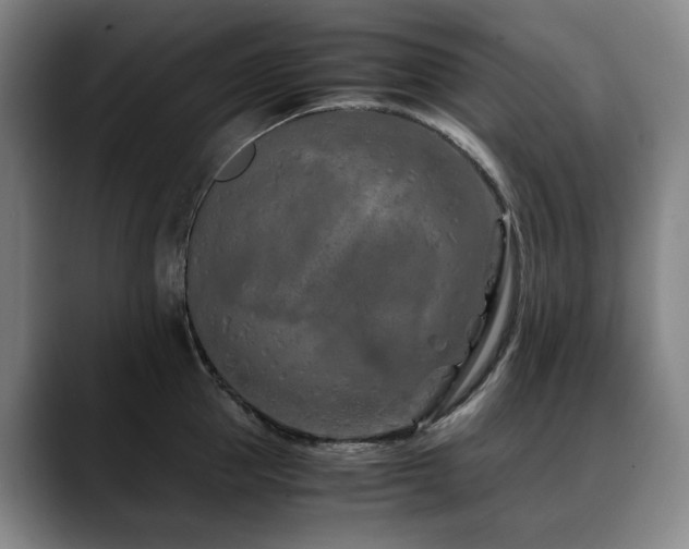 X0000090600953200707171330