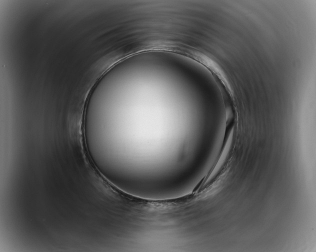X0000090600954200707171330