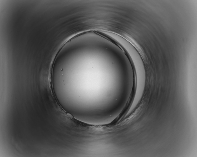 X0000090600956200707171330