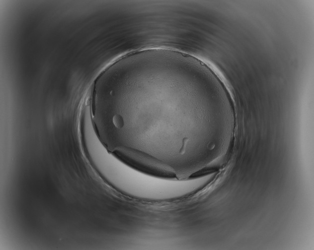 X0000090600957200707171330
