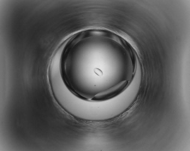 X0000090600958200707171330