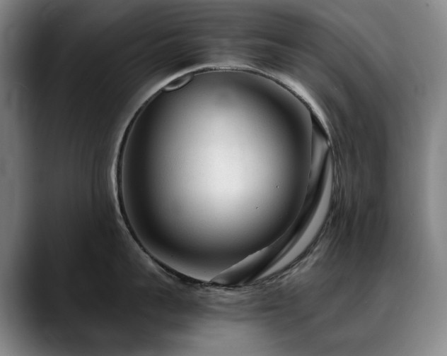 X0000090600959200707171330