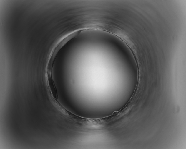 X0000090600960200707171330