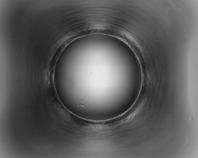 X0000090600970200707171329