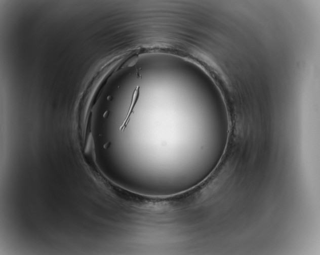X0000090600978200707171329