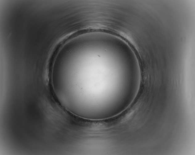 X0000090600979200707171329