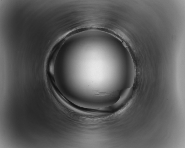 X0000090600981200707171329