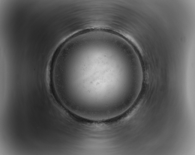 X0000090600983200707171329