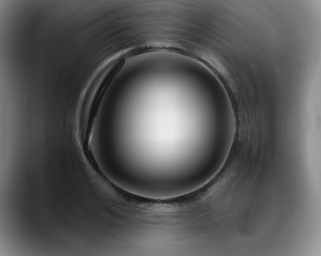 X0000090600984200707171329