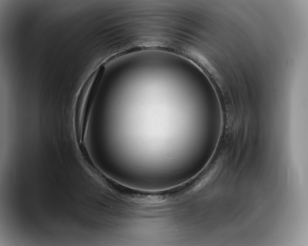 X0000090600986200707171329