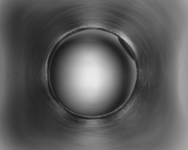 X0000090600988200707171329