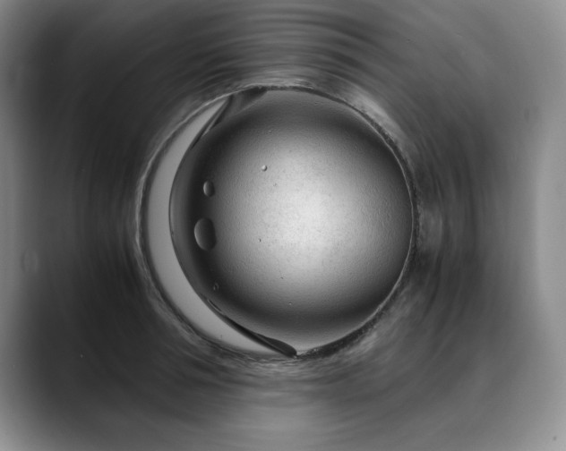 X0000090600994200707171329