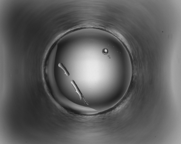 X0000090600997200707171329