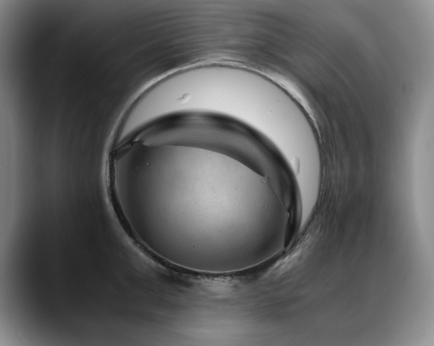 X0000090600999200707171329